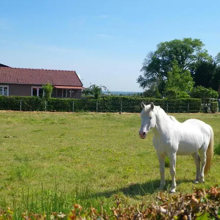 Charmante Maison A : 2 Chambres, Jardin Clos, Accueil Chevaux, Entre Calais Et Boulogne - Fr-1-376-65 *